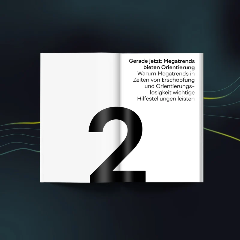 Megatrend Research