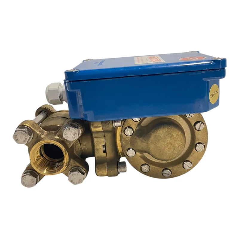 Eletta Strömungswächter Durchflusswächter für Wasser R5-GL20 4-20l/min