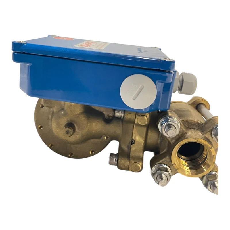 Eletta Strömungswächter Durchflusswächter für Wasser R5-GL20 4-20l/min