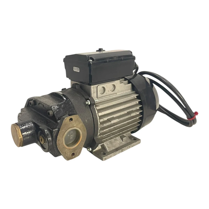 Flügelzellenpumpe Pumpe 230V 500W Flügelzellenpumpe für die Industrie Geeignet