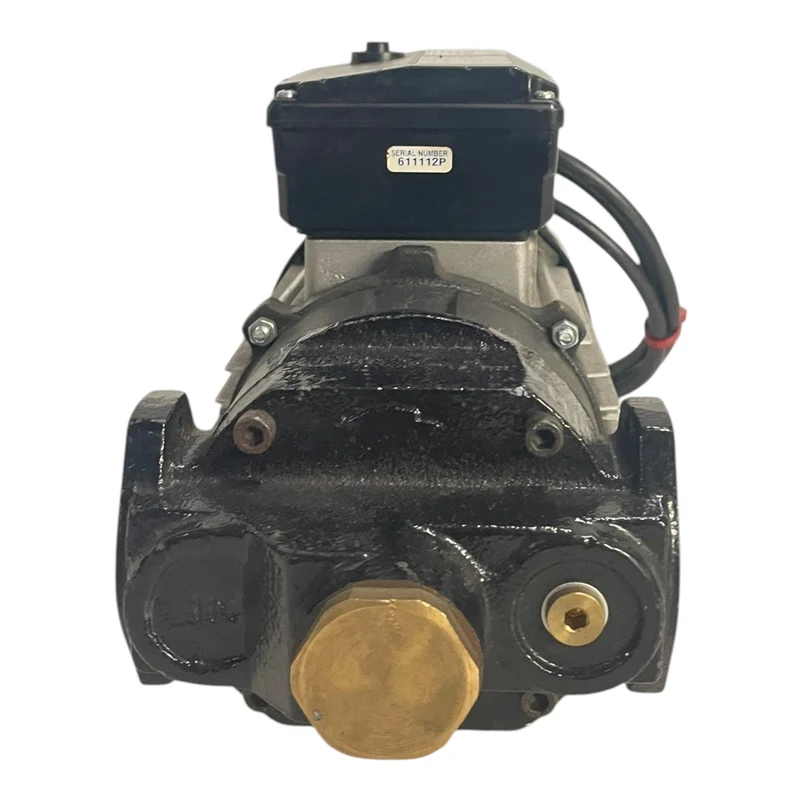 Flügelzellenpumpe Pumpe 230V 500W Flügelzellenpumpe für die Industrie Geeignet