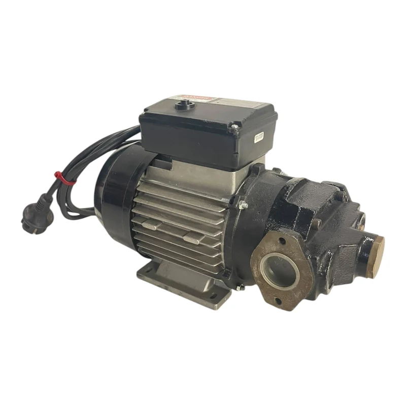 Flügelzellenpumpe Pumpe 230V 500W Flügelzellenpumpe für die Industrie Geeignet
