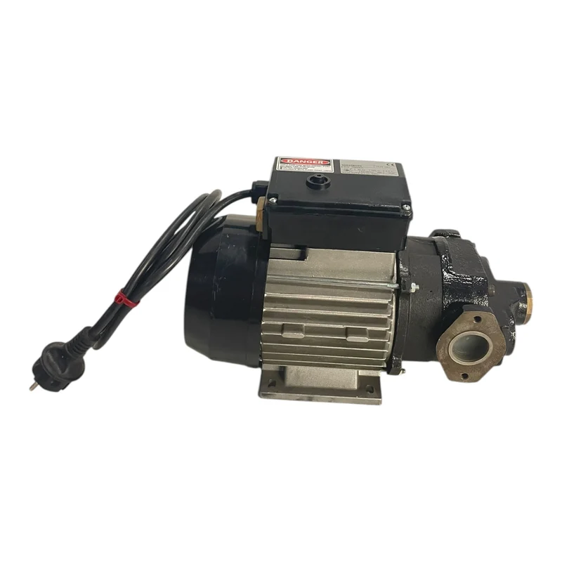Flügelzellenpumpe Pumpe 230V 500W Flügelzellenpumpe für die Industrie Geeignet