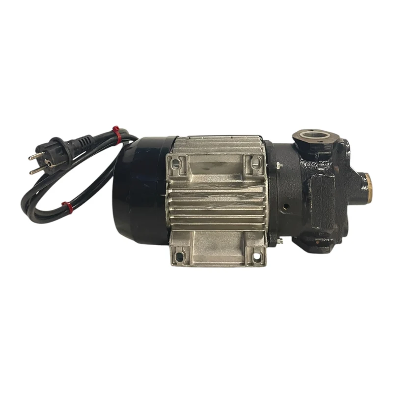 Flügelzellenpumpe Pumpe 230V 500W Flügelzellenpumpe für die Industrie Geeignet