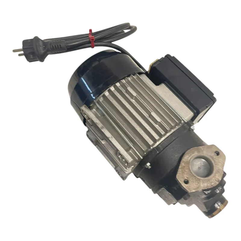 Flügelzellenpumpe Pumpe 230V 500W Flügelzellenpumpe für die Industrie Geeignet