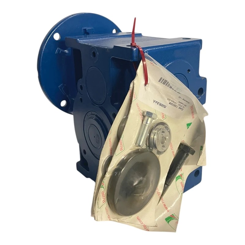 Rossi Getriebemotor MR CI 100 UO3A-38X250 Getriebemotor von Rossi für Industrie