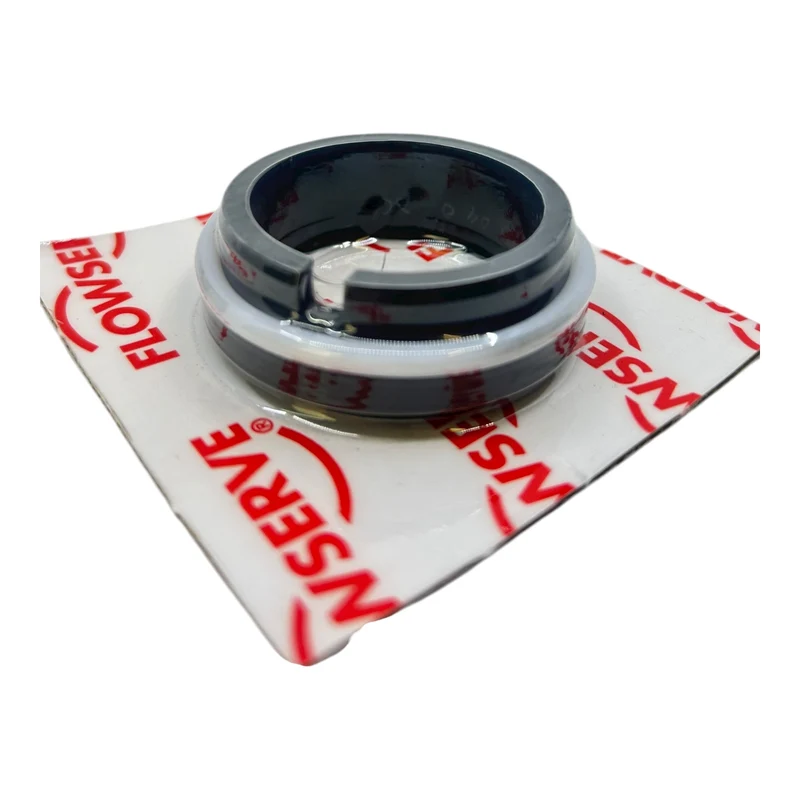 Flowserve Gleitringdichtung SBTGG 600210050 Gleitringdichtung von Flowserve