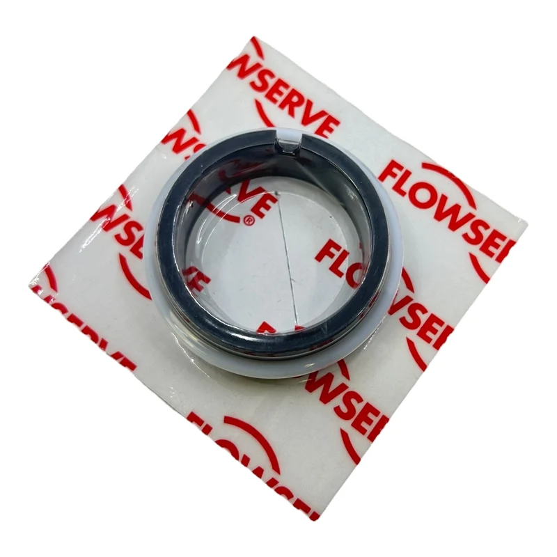 Flowserve Gleitringdichtung SBTGG 600210050 Gleitringdichtung von Flowserve