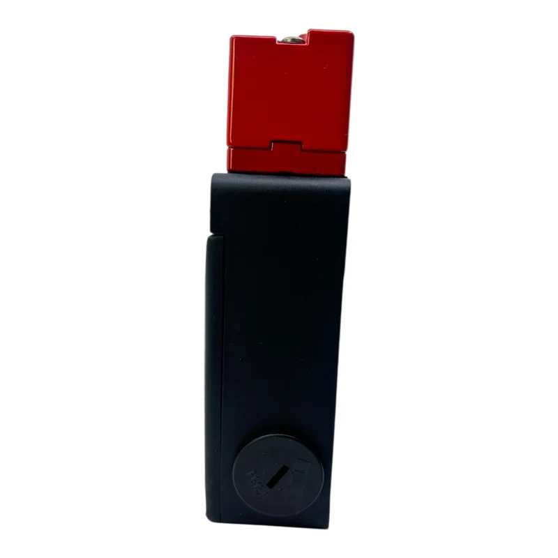 Pizzato Sicherheitsschalter FS 2996D024 Sicherheitsschalter von Pizzato