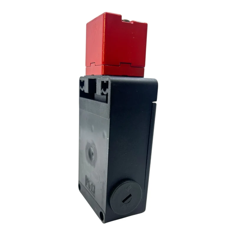 Pizzato Sicherheitsschalter FS 2996D024 Sicherheitsschalter von Pizzato