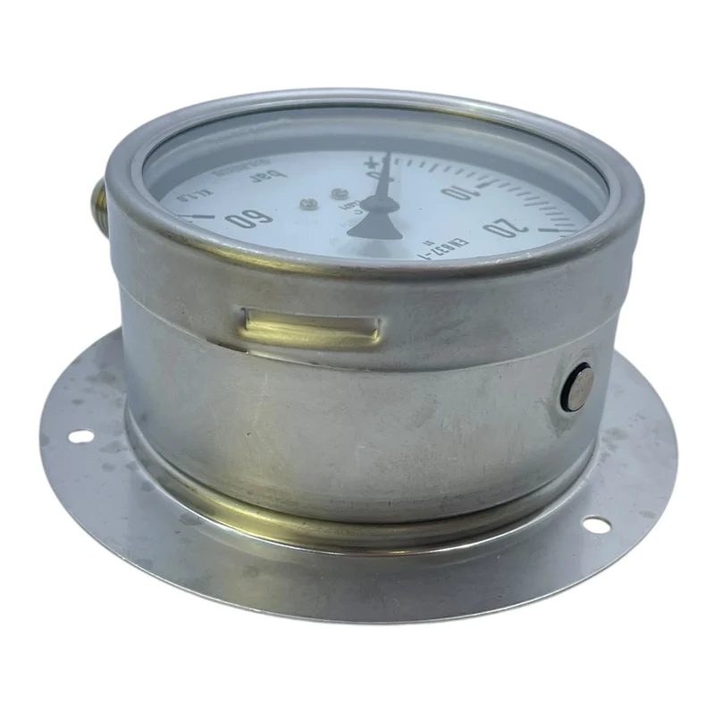 M.Jünemannm Manometer 0-60bar Manometer von M.Jünemannm für die Industrie