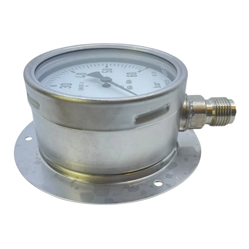 M.Jünemannm Manometer 0-60bar Manometer von M.Jünemannm für die Industrie