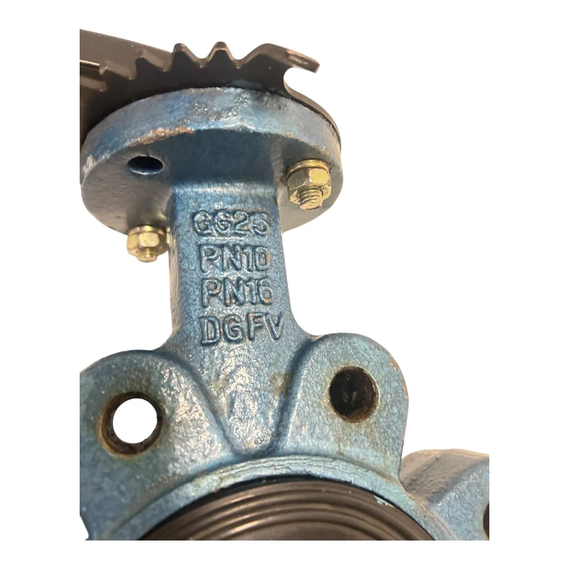 DGFV Absperrklappe DN80 PN10/PN16 GG25 CF8M mit Handhebel Industriearmatur