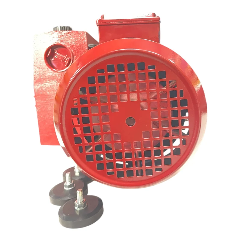 Vuototecnica Vakuumpumpe 60 \(mc/h\) MV60 für den Industriellen Nutzen geeignet