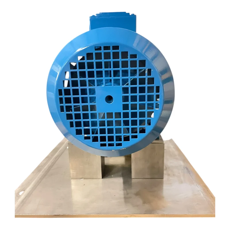 Johnson Wasserpumpe 7m 10bar V2A CC50-200 R6M2L1 Wasserpumpe von Johnson