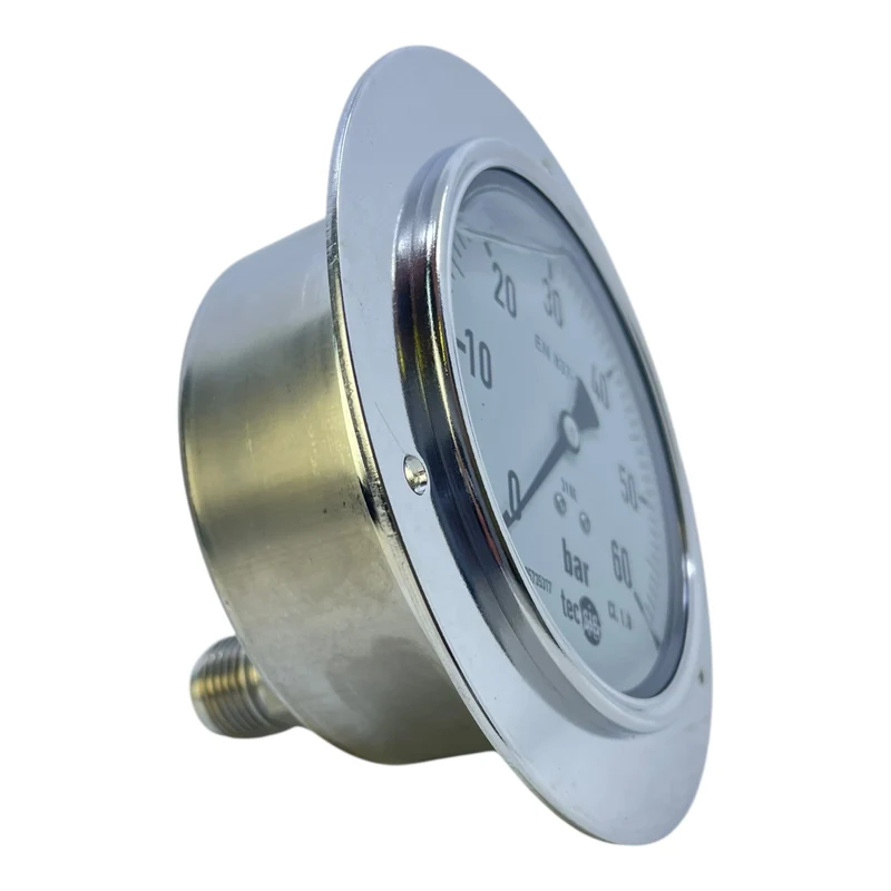 Tecsis Manometer 1105735317 0-60bar Manometer von Tecsis für die Industrie