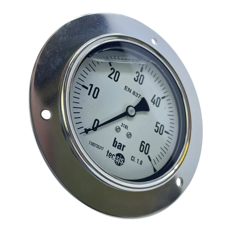 Tecsis Manometer 1105735317 0-60bar Manometer von Tecsis für die Industrie