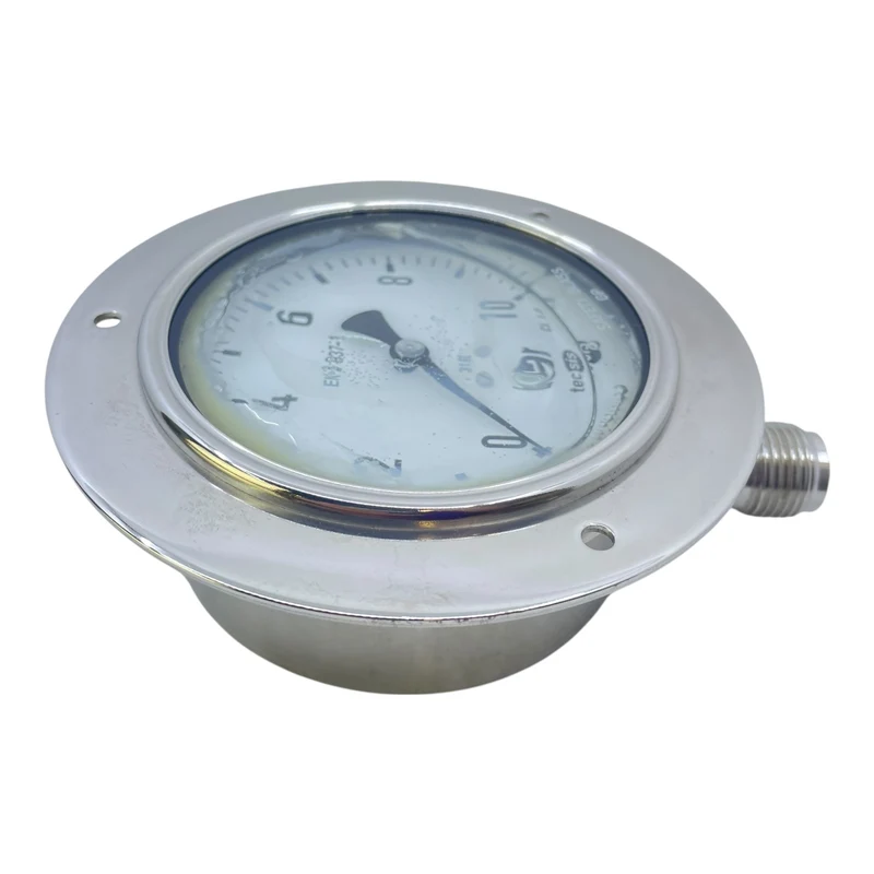 Tecsis Manometer 0-10bar 2325.075.141 Manometer von Tecsis für die Industrie