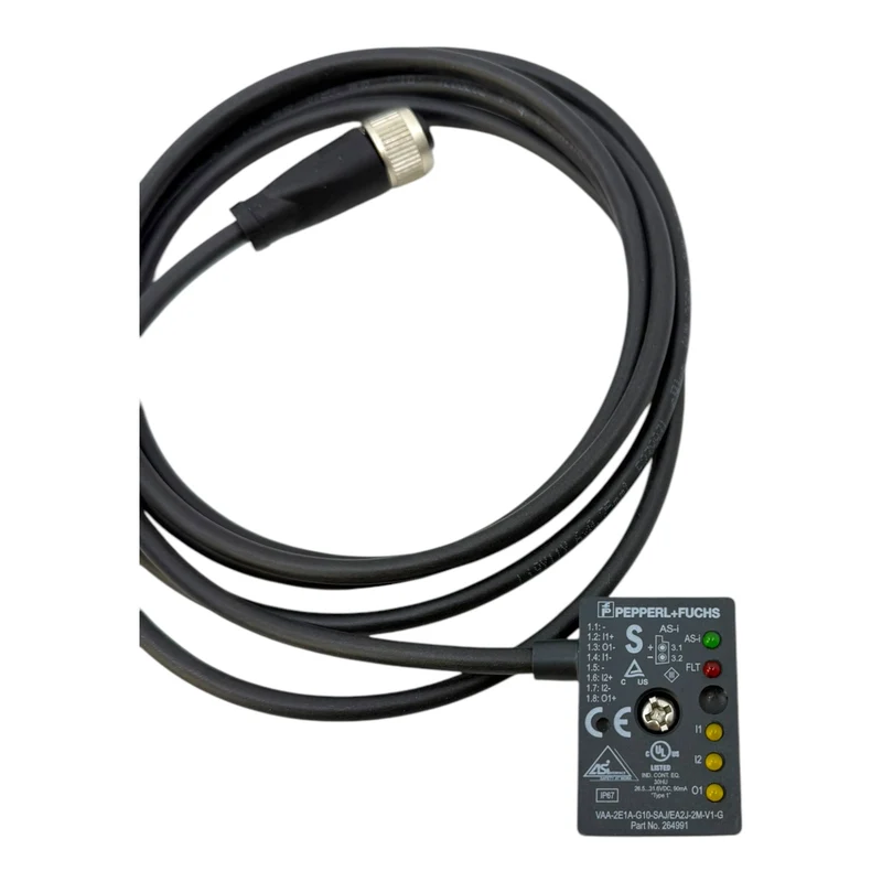 Pepperl+Fuchs VAA-2E1A-G10-SAJ/EA2J-2M-V1-G AS-Interface Sicherheitsmodul 264991