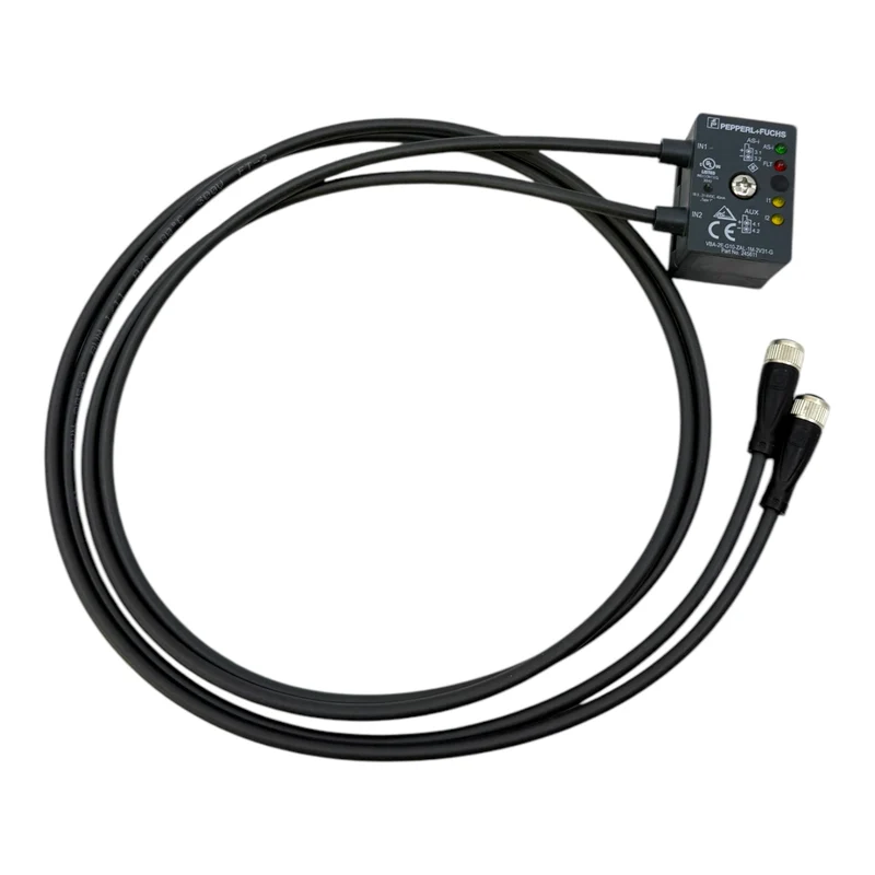 Pepperl+Fuchs VBA-2E-G10-ZAL-1M-2V31-G AS-Interface-Sensor-/Aktuatormodul 245611