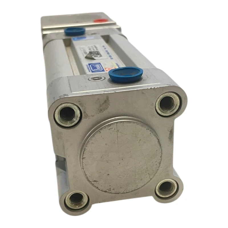 Pemaks ASS.AA001014/15 Pneumatikzylinder für industriellen Einsatz