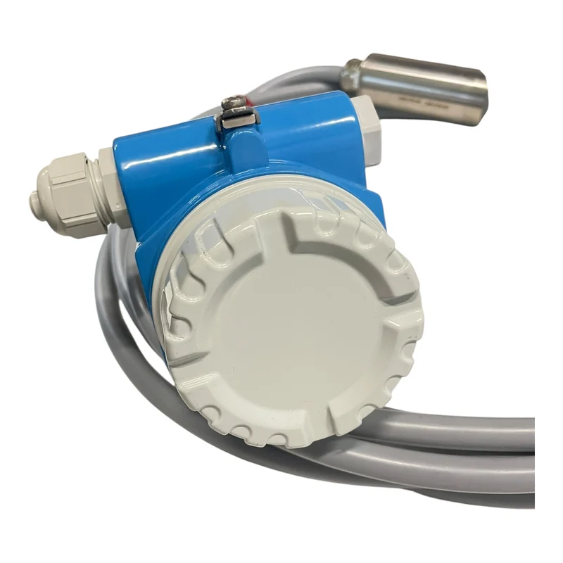 Endress+Hauser Soliphant M FTM50-AGG2A4D32AA Füllstandsanzeige Industrie Einsatz