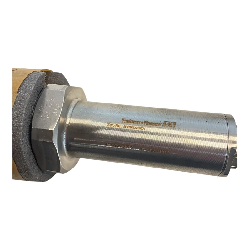 Endress+Hauser Soliphant M FTM50-AGG2A4D32AA Füllstandsanzeige Industrie Einsatz