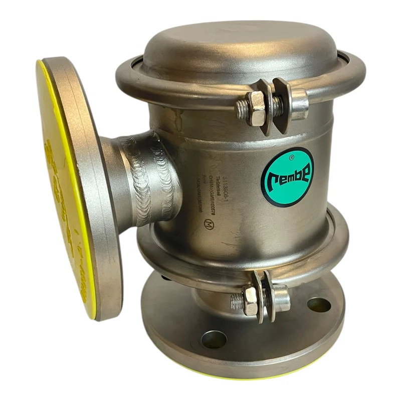 REMBE ELVE-2/2-X-m40 Ventil für industriellen Einsatz Ventil
