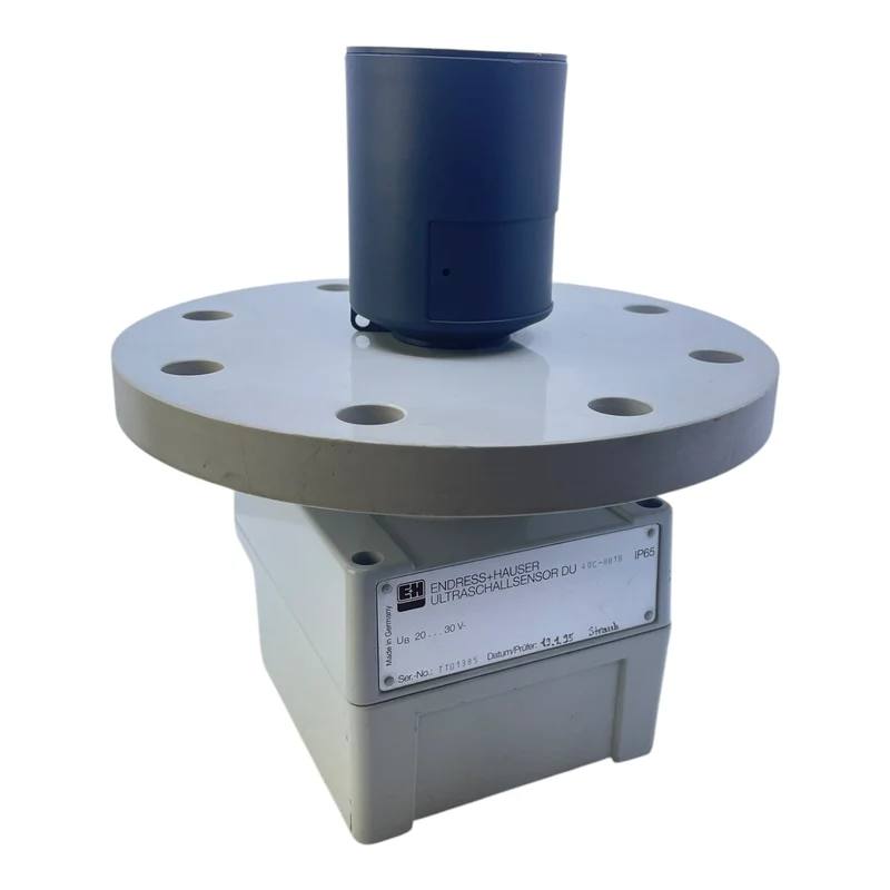 Endress+Hauser Ultrasonic Ultraschallsensor DU 40C-RB1B Endress+Hauser Endress