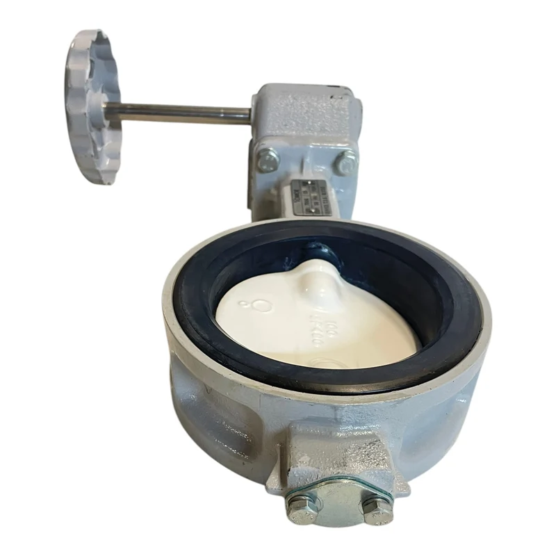 Tomoe 700G SS-NY-NBR Ventil Armatur für industriellen Einsatz