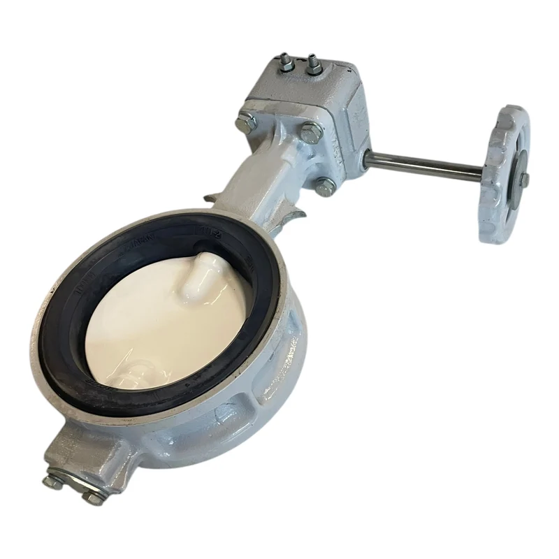 Tomoe 700G SS-NY-NBR Ventil Armatur für industriellen Einsatz