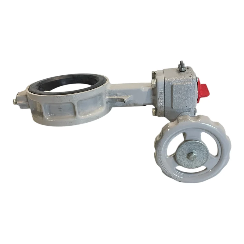 Tomoe 700G SS-NY-NBR Ventil Armatur für industriellen Einsatz