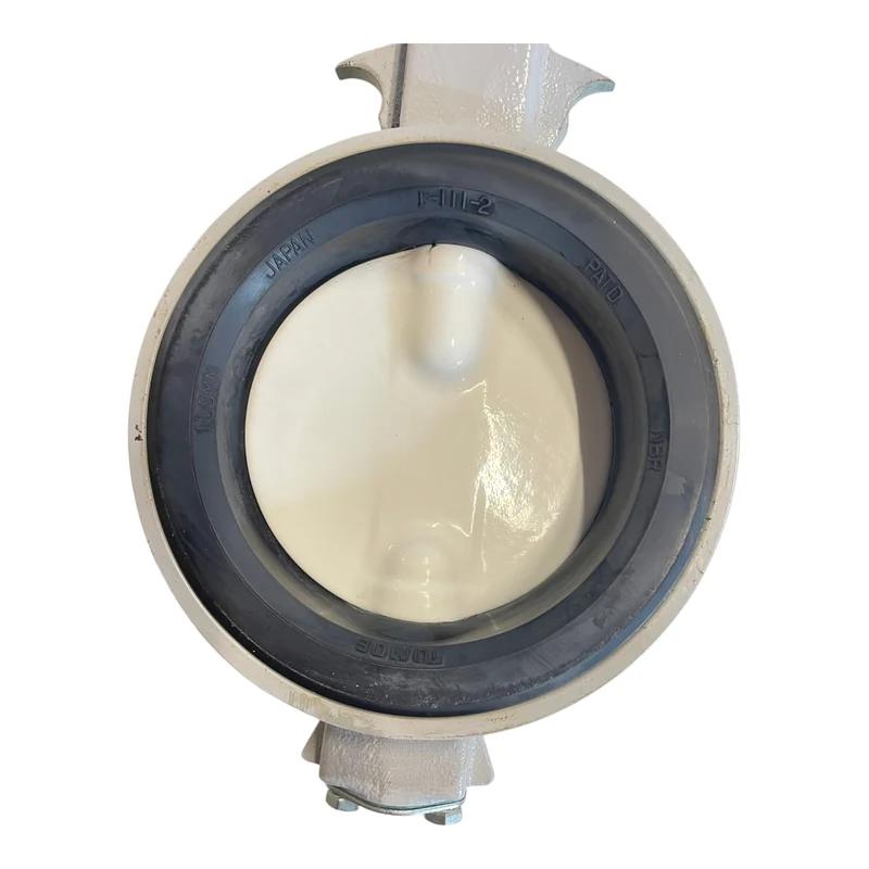 Tomoe 700G SS-NY-NBR Ventil Armatur für industriellen Einsatz