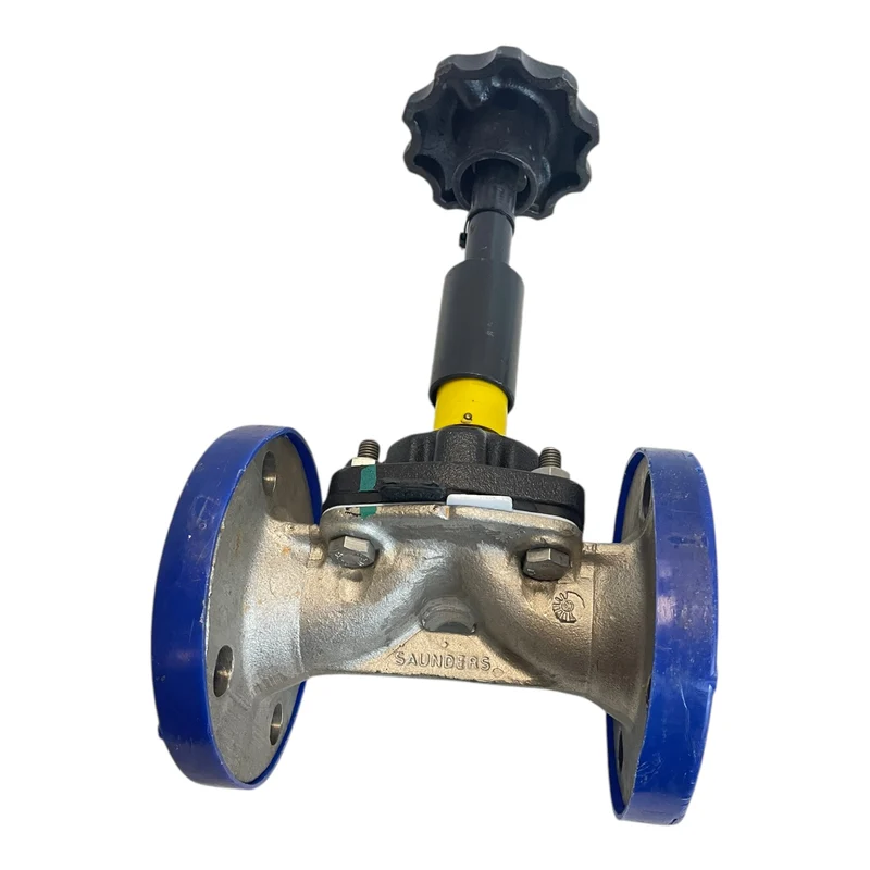 Saunders IA050F4CGP1H04 Ventil 10 bar für industriellen Einsatz