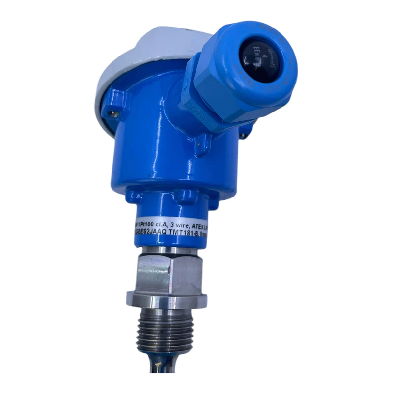 Endress+Hauser TST11-Y1GBES2JAAQ TMT181-B. Temperaursensor Endress+Hauser TST1