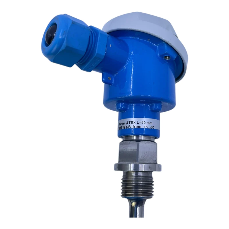 Endress+Hauser TST11-Y1GBES2JAAQ TMT181-B. Temperaursensor Endress+Hauser TST1