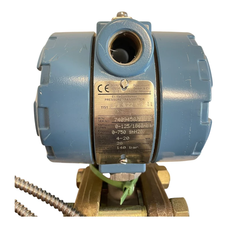 Rosemount 1151 GP5 E22 C2 I1 Druckmessumformer für industriellen Einsatz