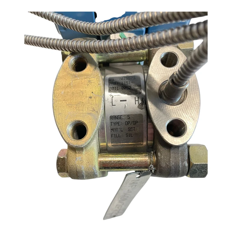 Rosemount 1151 GP5 E22 C2 I1 Druckmessumformer für industriellen Einsatz