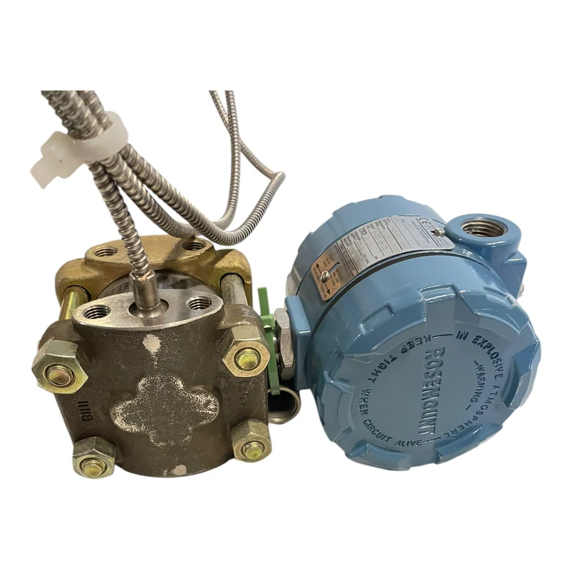 Rosemount 1151 GP5 E22 C2 I1 Druckmessumformer für industriellen Einsatz
