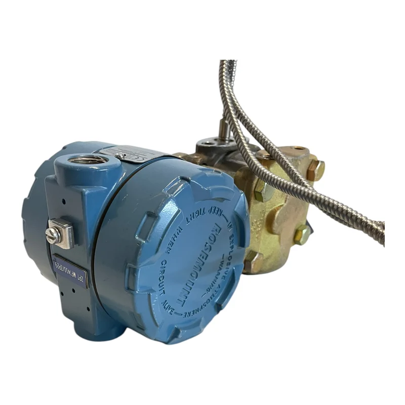 Rosemount 1151 GP5 E22 C2 I1 Druckmessumformer für industriellen Einsatz