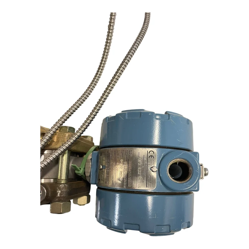 Rosemount 1151 GP5 E22 C2 I1 Druckmessumformer für industriellen Einsatz