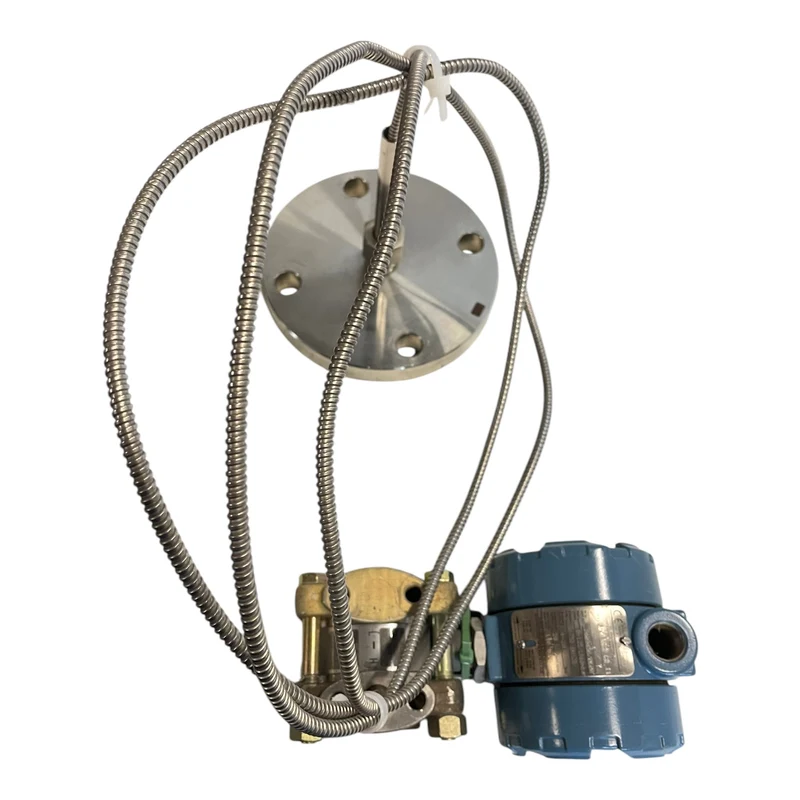 Rosemount 1151 GP5 E22 C2 I1 Druckmessumformer für industriellen Einsatz