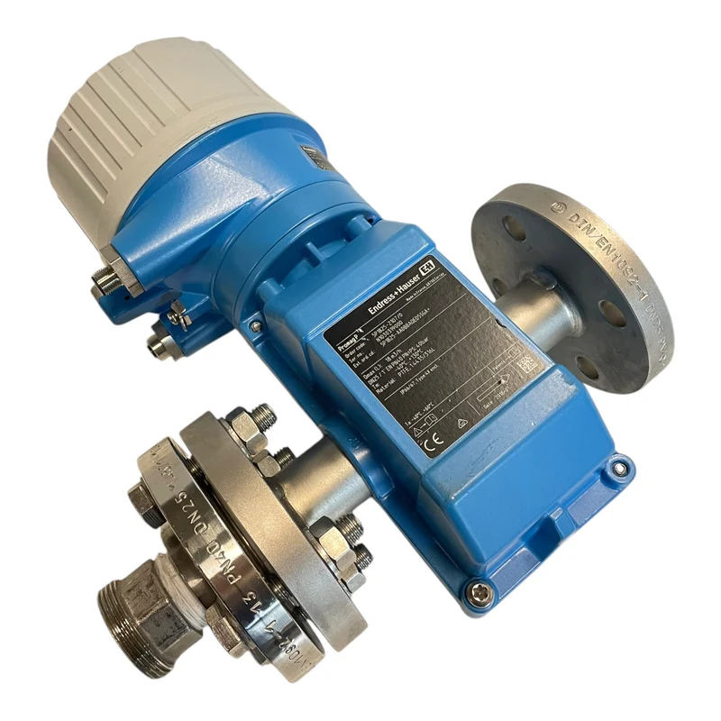Endress+Hauser Promag 100 5P1B25-2107/0 Durchflussmesser Industrie Einsatz