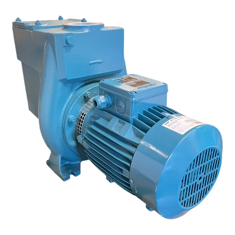 Calpeda NMP65/16E-60/A Wasserpumpe 5,5 kW für industriellen Einsatz Wasserpumpe