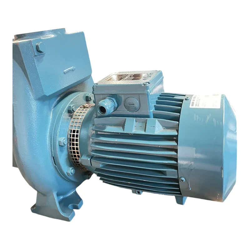 Calpeda NMP65/16E-60/A Wasserpumpe 5,5 kW für industriellen Einsatz Wasserpumpe
