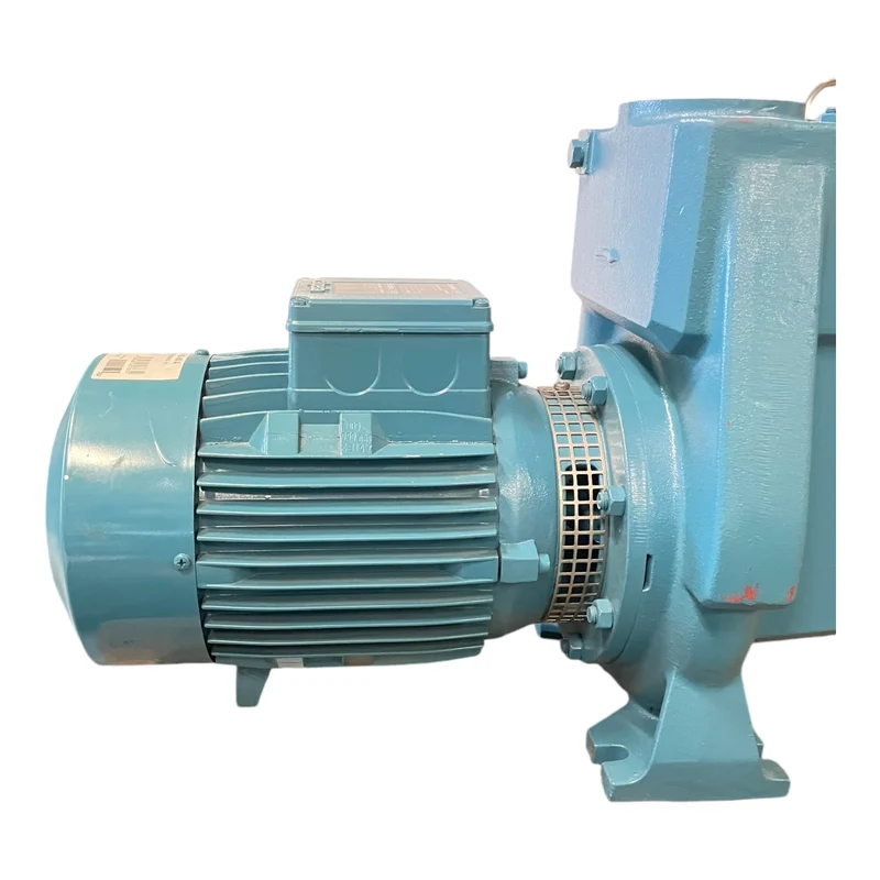 Calpeda NMP65/16E-60/A Wasserpumpe 5,5 kW für industriellen Einsatz Wasserpumpe