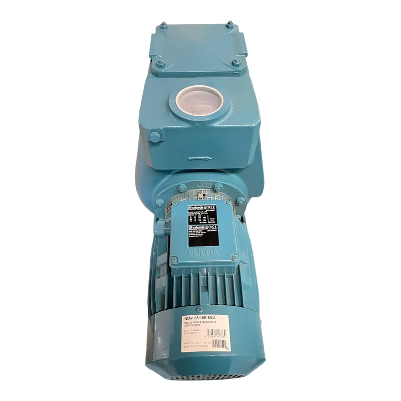 Calpeda NMP65/16E-60/A Wasserpumpe 5,5 kW für industriellen Einsatz Wasserpumpe