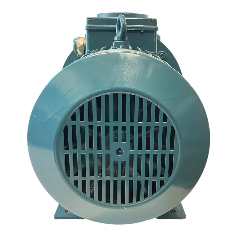 Calpeda NM50/DE-60 Wasserpumpe 15kW für industriellen Einsatz Wasserpumpe
