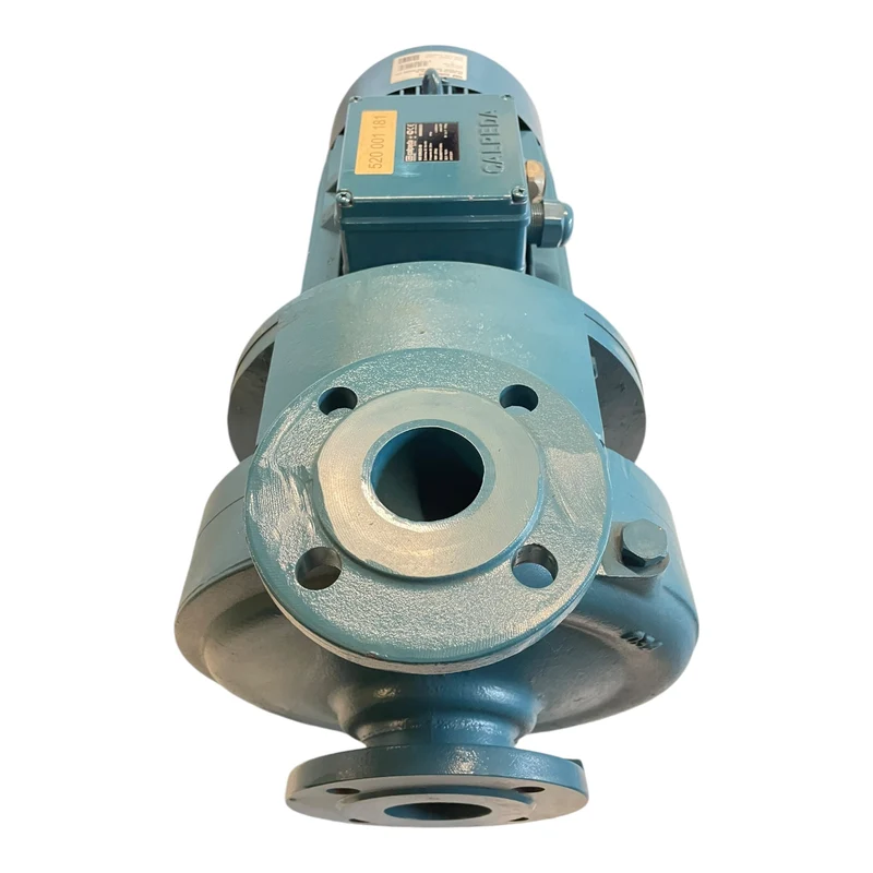 Calpeda NM50/DE-60 Wasserpumpe 15kW für industriellen Einsatz Wasserpumpe