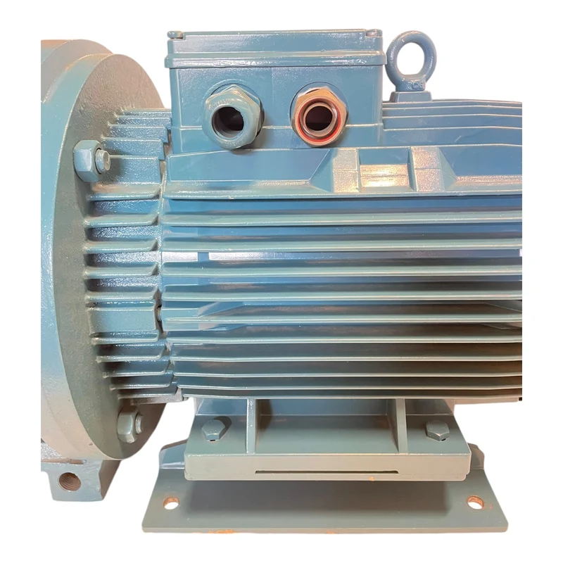 Calpeda NM50/DE-60 Wasserpumpe 15kW für industriellen Einsatz Wasserpumpe